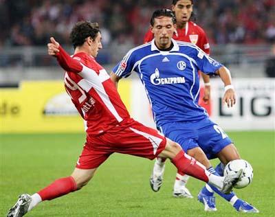 将是鹈鹕在 将是鹈鹕在